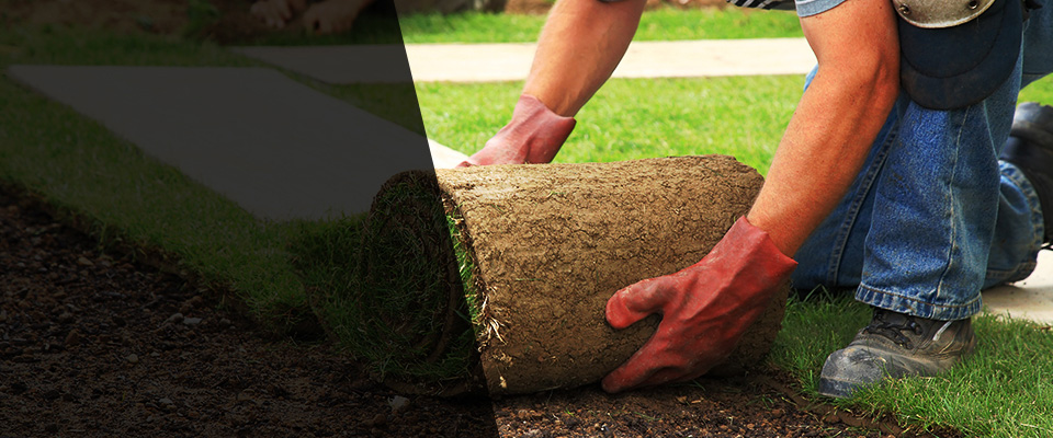 Wisconsin Rapids Landscapers